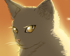 Chapter 02