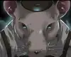 Chapter 9