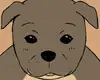 Chapter 37