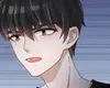 Chapter 216