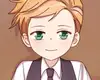 Chapter 234