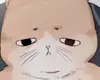 Chapter 79