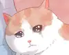 Chapter 12