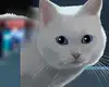 Chapter 87