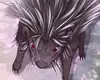 Chapter 84