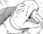 Volume 1 The Turtle Returns a Favor