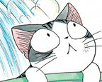 homemade 3 a cat is given a hard time
