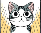 homemade 4 a cat forgets