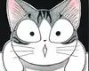 homemade 6 a cat is disappointed