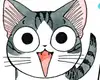 homemade 7 a cat understands