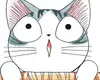 homemade 14 a cat goes to the vet (part 1)