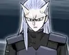 Chapter 294
