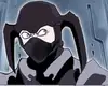Chapter 295