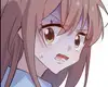 Chapter 160