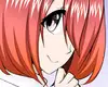 Chapter 55