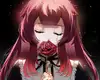 Chapter 29