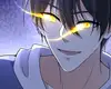 Chapter 223