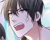 Chapter 221