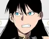 Chapter 223