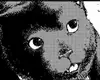 Chapter 31