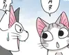 Chapter 39: Chi Runs Away