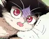 Chapter 50
