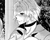 Chapter 222