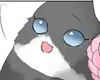 Chapter 14