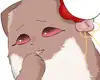 Chapter 16