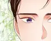 Chapter 238