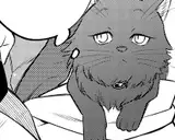Volume 8