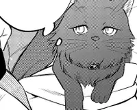 Volume 8