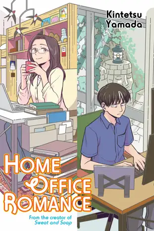 Home Office Romance