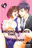 Undergarments That Beg to Be Seen by a Lover