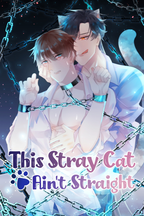 This Stray Cat Ain't Straight