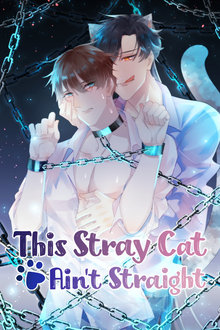 This Stray Cat Ain't Straight